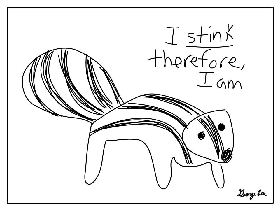 Cover photo for Punderline 16: A skunk's stinky philosophy Cover photo for Punderline 16: A skunk's stinky philosophy